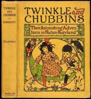 Twinkle and Chubbins, Their Astonishing Adventures in Nature-Fairyland