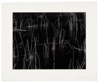 Brett Weston: Photographs from Five Decades - limited edition with Reeds, Oregon original print