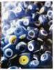 The Grand Bazaar: Istanbul - 5