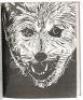 The Case of the Wolf-Man - 4