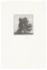 California in Relief. Thirty Wood Engravings by Richard Wagener - 4