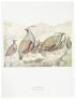 Birds of the Pacific Slope - 5