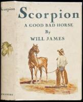 Scorpion: A Good Bad Horse