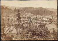 Albumen photograph of Guerneville