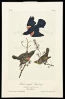 Twenty-three plates from the octavo edition of Audubon's Birds of America