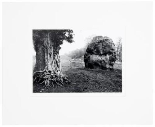 Stone and Tree, Avebury, England, 1967