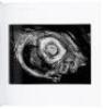 Tone Poems -- Book 1, Opus 1, 2 & 3 [with] Tone Poems -- Book 2, Opus 4, 5 & 6 - 5