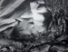 Untitled [Beatty, Nevada, 1981] - 3