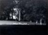 Standing White Deer, Wicklow Ireland, 1967 - 3