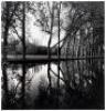 Allee D'Honneur, France, 1996 - 3