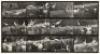 Animal Locomotion - plate 780 - 2