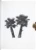 A Few Palm Trees - 4