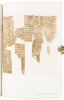 Ancient Books and Modern Discoveries - 4