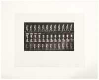 Animal Locomotion - plate 77