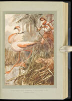 The Swiss Family Robinson