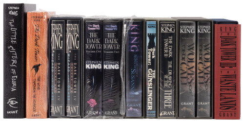 The Dark Tower series