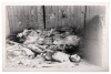 Fourteen photographs of Nazi concentration camps - 5