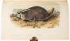 The Quadrupeds of North America - 4