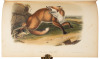 The Quadrupeds of North America - 7