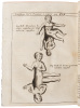 P. Gasparis Schotti ... Physica curiosa, sive Mirabilia naturae et artis libris XII. comprehensa, quibus pleraque, quæ de angelis, daemonibus, hominibus, spectris, energumensis, monstris, portentis, animalibus, meteoris, &c. rara, arcana, curiosaq[ue] cir - 7