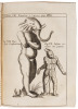 P. Gasparis Schotti ... Physica curiosa, sive Mirabilia naturae et artis libris XII. comprehensa, quibus pleraque, quæ de angelis, daemonibus, hominibus, spectris, energumensis, monstris, portentis, animalibus, meteoris, &c. rara, arcana, curiosaq[ue] cir - 9