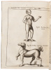 P. Gasparis Schotti ... Physica curiosa, sive Mirabilia naturae et artis libris XII. comprehensa, quibus pleraque, quæ de angelis, daemonibus, hominibus, spectris, energumensis, monstris, portentis, animalibus, meteoris, &c. rara, arcana, curiosaq[ue] cir - 10