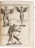 P. Gasparis Schotti ... Physica curiosa, sive Mirabilia naturae et artis libris XII. comprehensa, quibus pleraque, quæ de angelis, daemonibus, hominibus, spectris, energumensis, monstris, portentis, animalibus, meteoris, &c. rara, arcana, curiosaq[ue] cir - 12