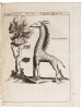 P. Gasparis Schotti ... Physica curiosa, sive Mirabilia naturae et artis libris XII. comprehensa, quibus pleraque, quæ de angelis, daemonibus, hominibus, spectris, energumensis, monstris, portentis, animalibus, meteoris, &c. rara, arcana, curiosaq[ue] cir - 15