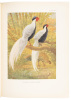 A Monograph of the Pheasants - 2