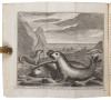 A Voyage Round the World by Way of the Great South Sea, Perform'd in the Years 1719, 20, 21, 22, in the Speedwell of London, of 24 Guns and 100 Men, (under His Majesty's Commission to cruize on the Spaniards in the late War with the Spanish Crown) till sh - 3
