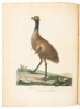 Journal of a Voyage to New South Wales - 2