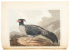 An Account of the Kingdom of Nepaul, being the Substance of Observations made during a Mission to that Country, in the Year 1793 - 2