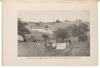 The Rough Riders - 8