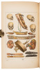 Illustrations of the Manners, Customs, & Condition of the North American Indians. With Letters and Notes, Written During Eight Years of Travel and Adventure Among the Wildest and Most Remarkable Tribes Now Existing - 10