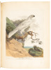 Journal of a Voyage to New South Wales - 5