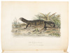 Journal of a Voyage to New South Wales - 6