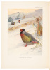A Monograph of the Pheasants - 6