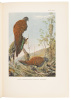 A Monograph of the Pheasants - 9