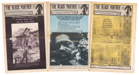 The Black Panther: Black Community News Service