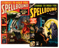 SPELLBOUND Nos. 13 and 16 * Lot of Two Comic Books