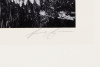 Ferns, Valley Floor, Yosemite, 1948 - 2