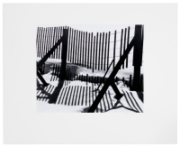 Snow Fence