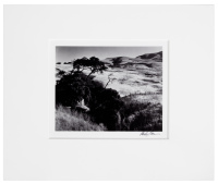 Ranchland, Big Sur, 1969