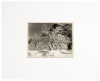 Half Dome, Apple Orchard, Winter, Yosemite, California, 1933