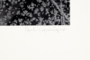 Frosted Window, Ipswich, MA, 1960 - 2