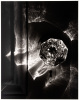 Doorknob, 1975 - 4