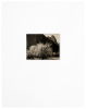 Three vintage contact prints of Yosemite by Ansel Adams - 9