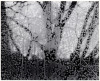 Frosted Window, Ipswich, MA, 1960 - 4