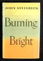 Burning Bright: A Play in Story Form