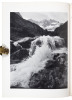 The Print - 3